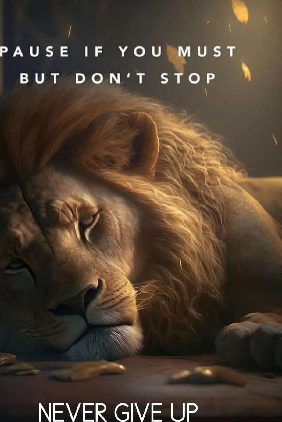 PAUSE IF YOU MUST BUT DON'T STOP NEVER GIVE UP