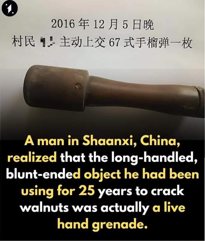 2016 4 12 H 5 A R YL E3 L5 67 R M A man in Shaanxi China realized that the long handled blunt ended object he had been using for 25 years to crack walnuts was actually a live hand grenade