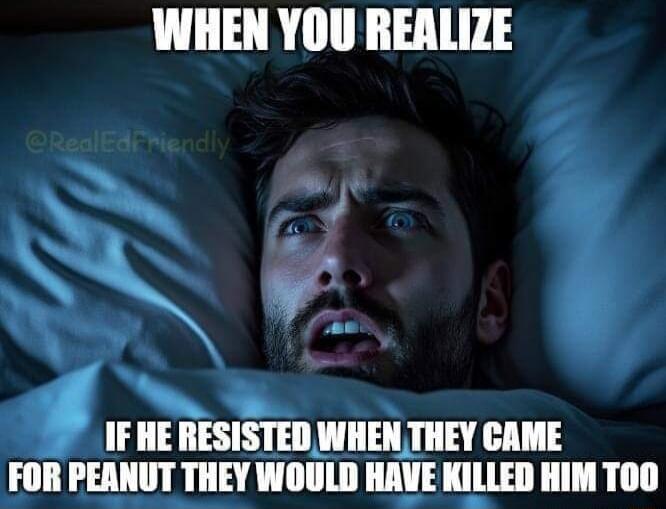 WHEN YOU REALIZE N N A IF IIE RESISIIII WHEN THEY CAME FOR PEANUT THEY WOULD IlllII KILLED HIM T0O