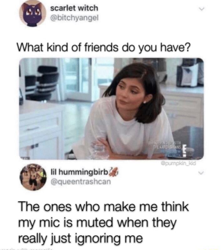 scarlet witch C bitchyangel What kind of friends do you have lil hummingbirb queentrashcan The ones who make me think my mic is muted when they really just ignoring me