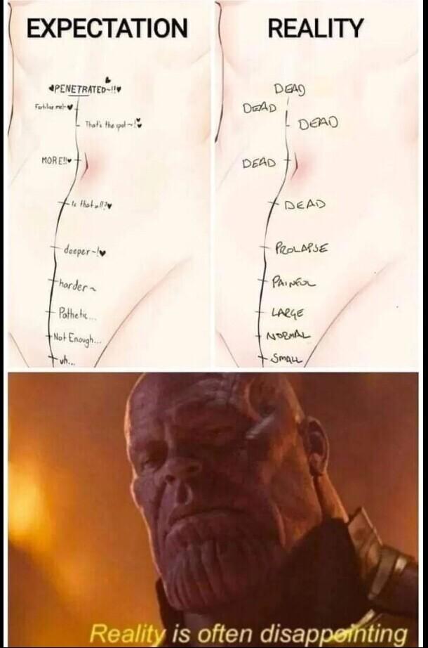 E EXPECTATION I REALITY e Day oo L pano osto 1 r z b feorstse Popn Lheqe Y oma