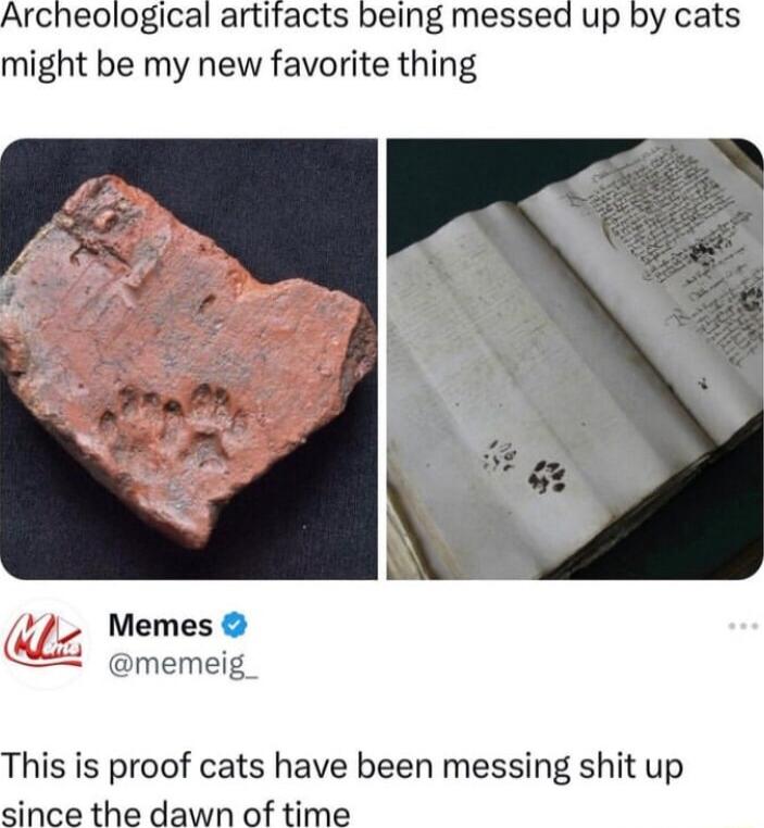 Archeological artitacts being messed up by cats might be my new favorite thing Memes memeig This is proof cats have been messing shit up since the dawn of time