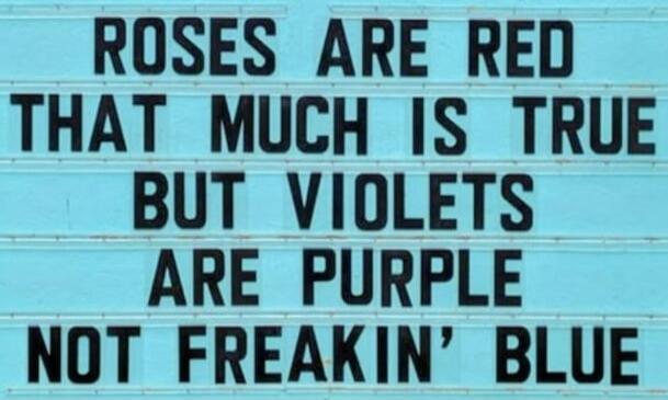 ROSES ARE RED THAT MUCH IS TRUE BUT VIOLETS ARE PURPLE NOT FREAKIN’ BLUE