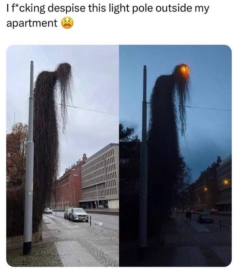 fcking despise this light pole outside my apartment