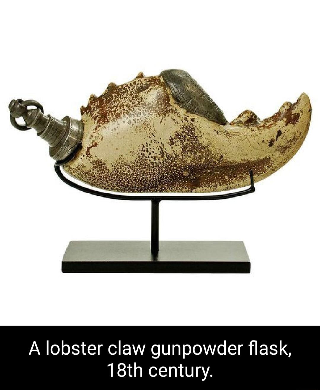 A lobster claw gunpowder flas 8th ce