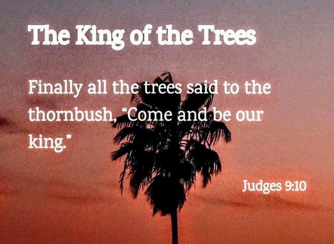 The King of the Trees
Finally all the trees said to the thornbush, “Come and be our king.”
Judges 9:10
