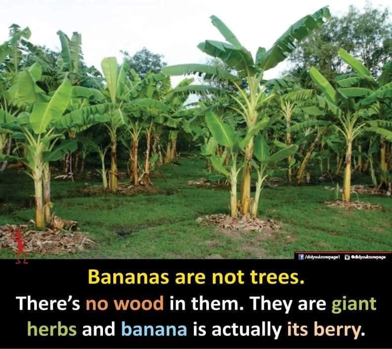 CERENENE TN o T TH B I TRV Yoo T I d o TTo o VO B LAV TEWA ET QL LR ERELERCE Ta T E IR T4 YA