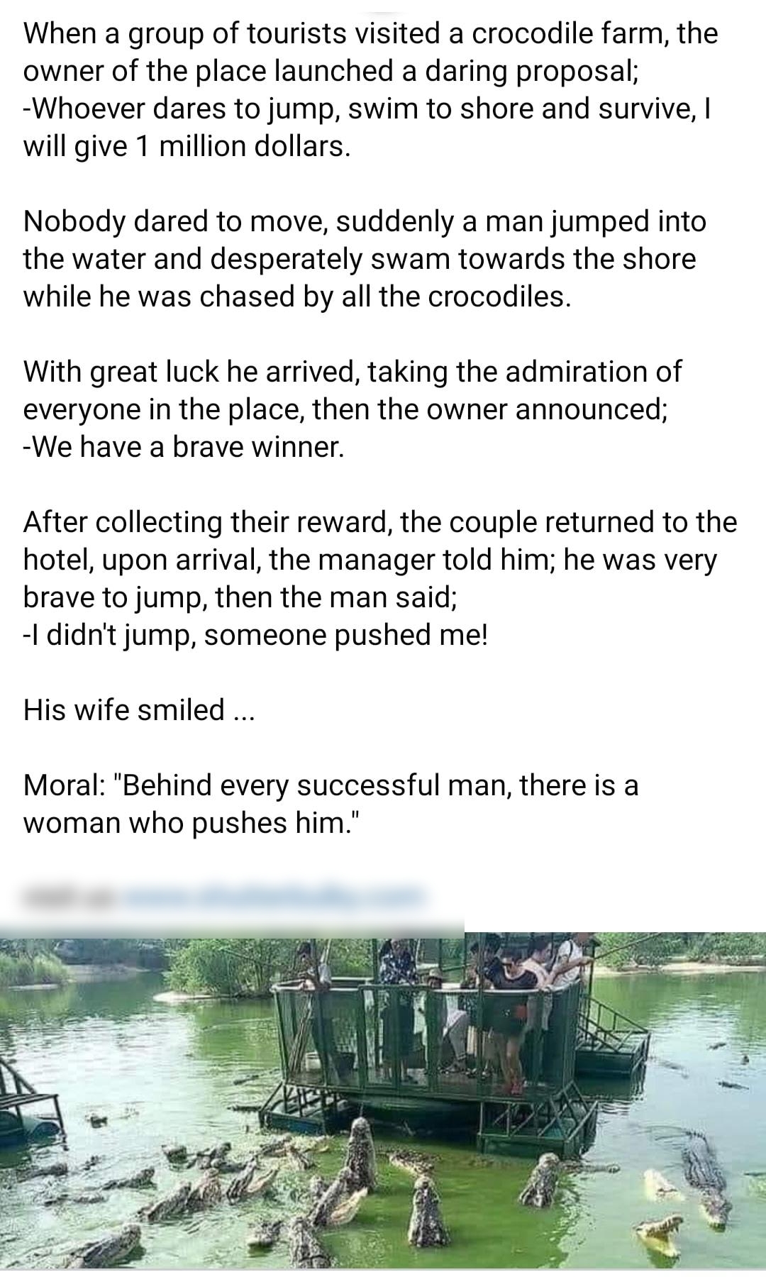 When a group of tourists visited a crocodile farm the owner of the place launched a daring proposal Whoever dares to jump swim to shore and survive will give 1 million dollars Nobody dared to move suddenly a man jumped into the water and desperately swam towards the shore while he was chased by all the crocodiles With great luck he arrived taking the admiration of everyone in the place then the ow