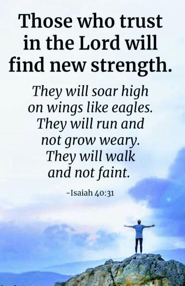 Those who trust in the Lord will find new strength. They will soar high on wings like eagles. They will run and not grow weary. They will walk and not faint. -Isaiah 40:31