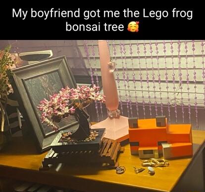 My boyfriend got me the Lego frog bonsai tree