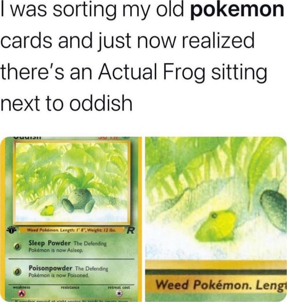 was sorting my old pokemon cards and just now realized theres an Actual Frog sitting next to oddish
