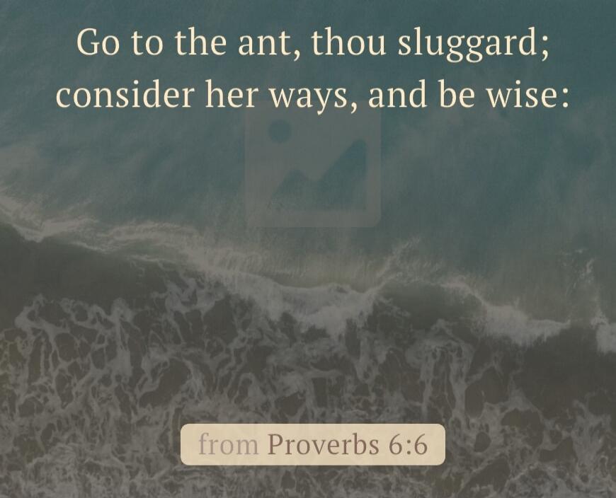 Go to the ant, thou sluggard; consider her ways, and be wise: from Proverbs 6:6