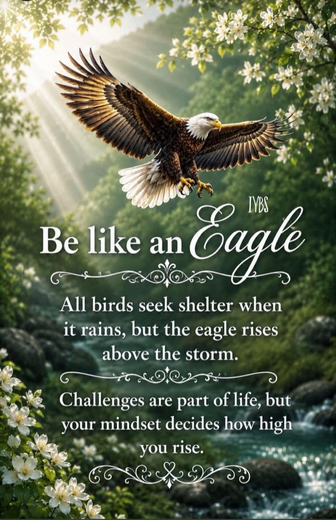 IVBS Be like an Eagle All birds seek shelter when it rains, but the eagle rises above the storm. Challenges are part of life, but your mindset decides how high you rise.
