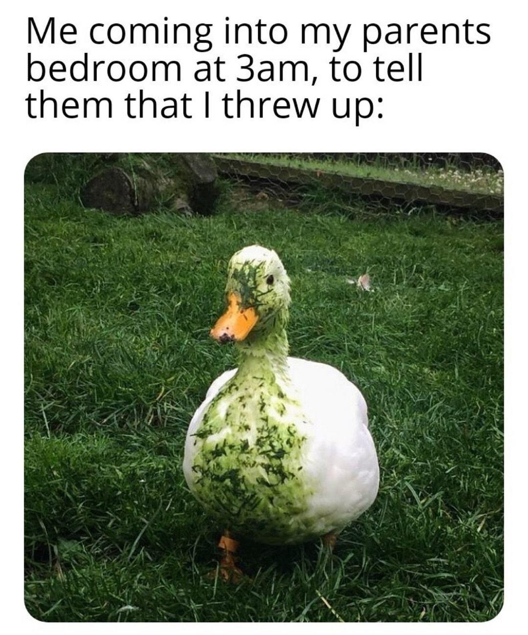 Me coming into my parents bedroom at 3am to tell them that threw up