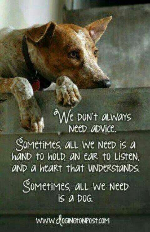 We don't always need advice. Sometimes, all we need is a hand to hold, an ear to listen, and a heart that understands. Sometimes, all we need is a dog. www.dogingtonpost.com