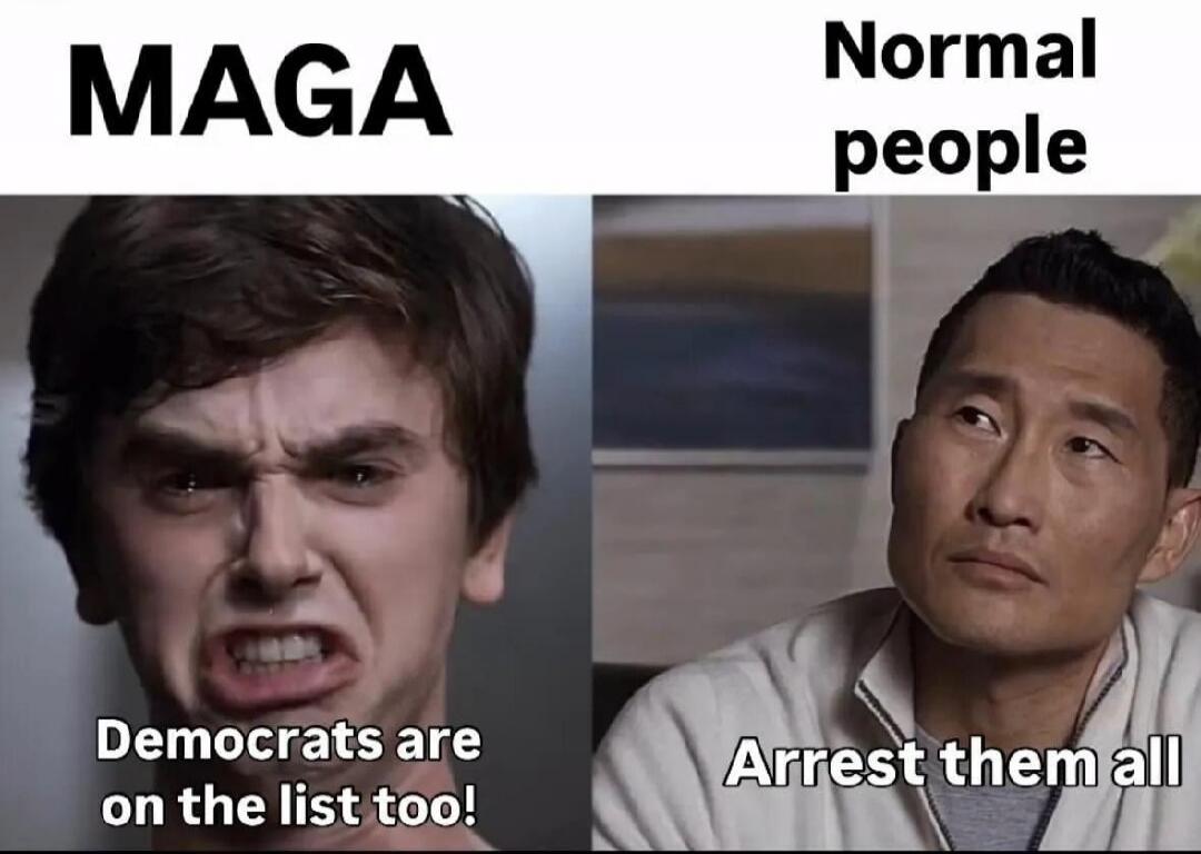 MAGA Normal people Democrats are on the list too! Arrest them all