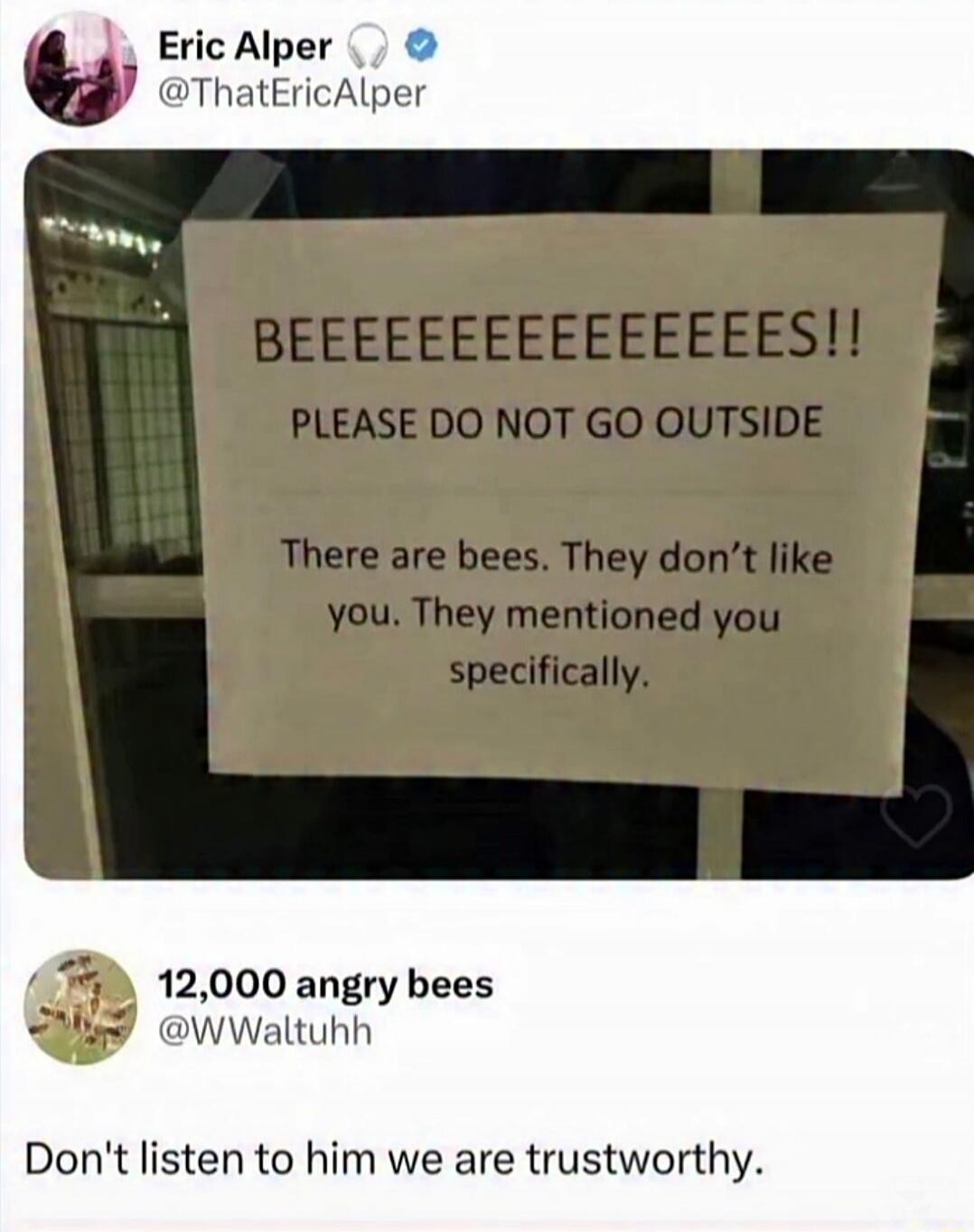 BEEEEEEEEEEEEES!! PLEASE DO NOT GO OUTSIDE. There are bees. They don't like you. They mentioned you specifically. Don't listen to him we are trustworthy.