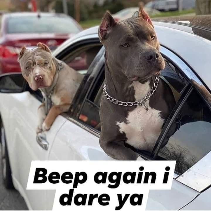 Beep againi dare ya