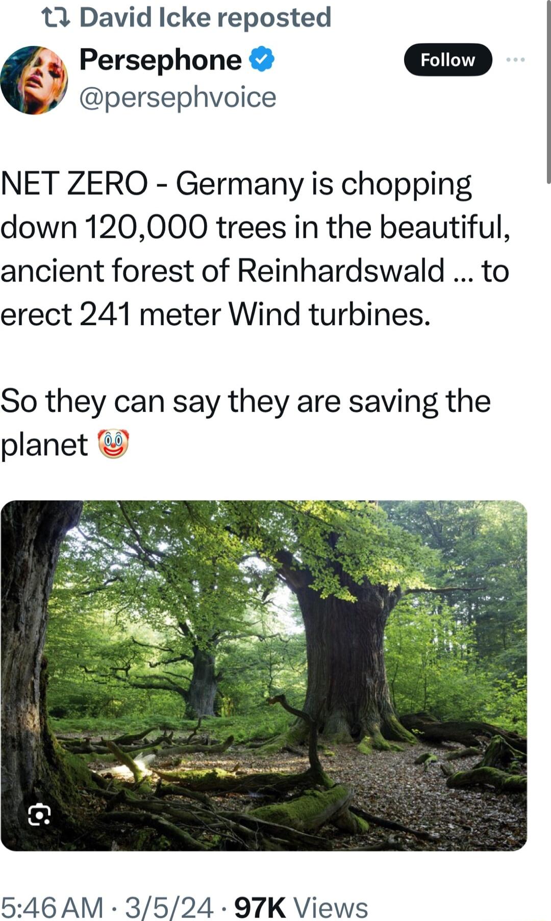 13 David Icke reposted Persephone persephvoice NET ZERO Germany is chopping down 120000 trees in the beautiful ancient forest of Reinhardswald to erect 241 meter Wind turbines So they can say they are saving the 546 AM 3524 97K Views