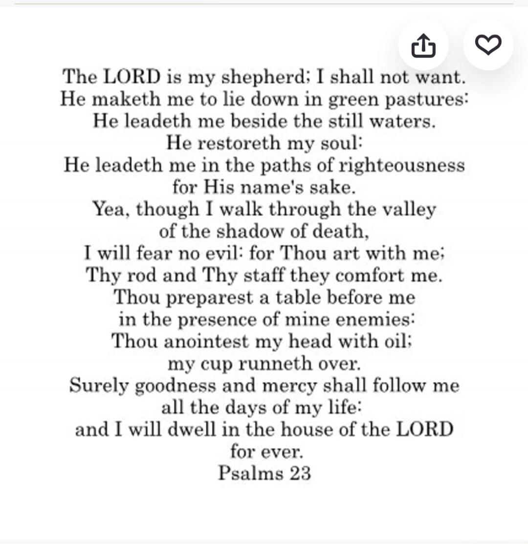 The LORD is my shepherd; I shall not want. He maketh me to lie down in green pastures: He leadeth me beside the still waters. He restoreth my soul: He leadeth me in the paths of righteousness for His name's sake. Yea, though I walk through the valley of the shadow of death, I will fear no evil: for Thou art with me; Thy rod and Thy staff they comfo