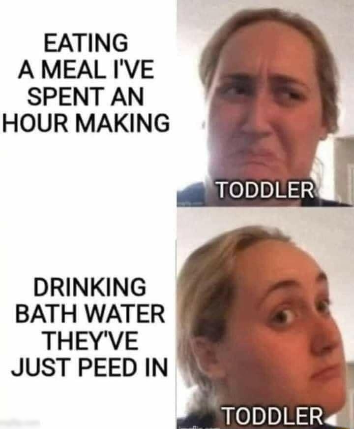 EATING A MEAL IVE SPENT AN HOUR MAKING DRINKING BATH WATER THEYVE JUST PEED IN