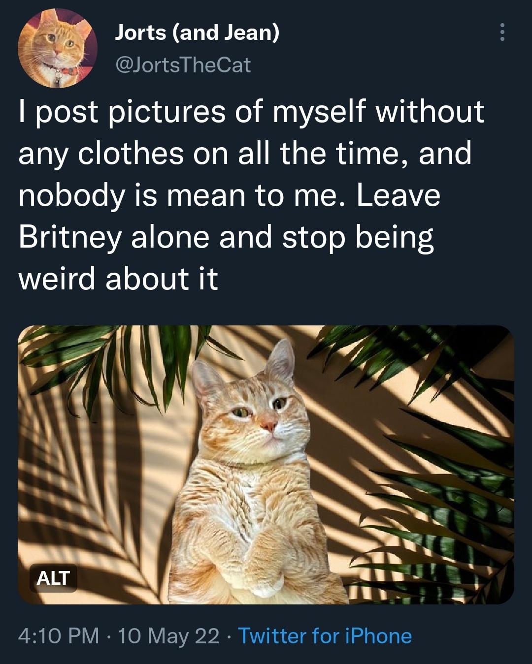 Jorts and Jean y JortsTheCat post pictures of myself without any clothes on all the time and glooToJo VAT N L Ta R o N g S P VVC Britney alone and stop being weird about it S Ol Y I O V 02 20 RV a 1 o d g Te I