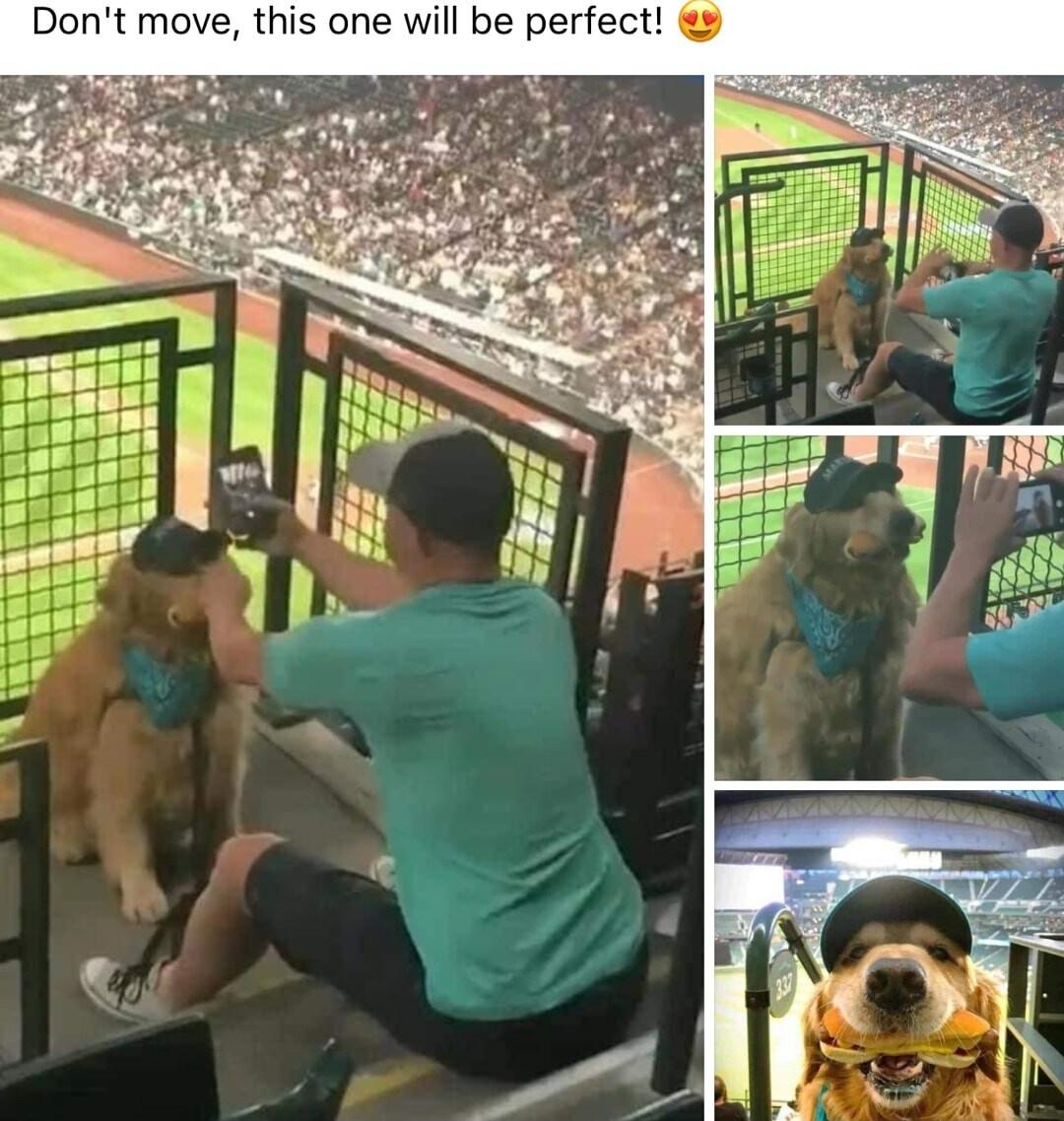 Dont move this one will be perfect
