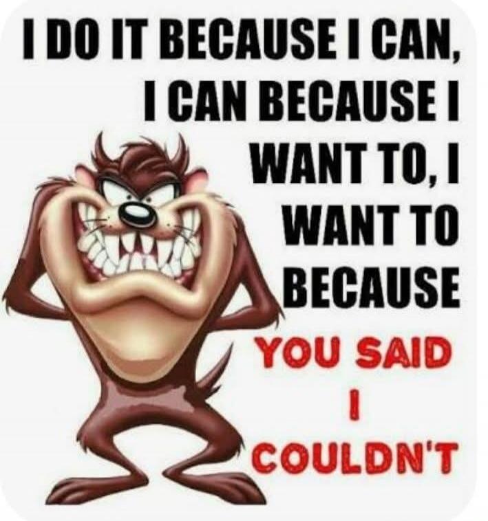 I DO IT BECAUSE I CAN, I CAN BECAUSE I WANT TO, I WANT TO BECAUSE YOU SAID I COULDN'T