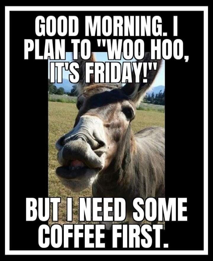 GOOD MORNING. I PLAN TO 