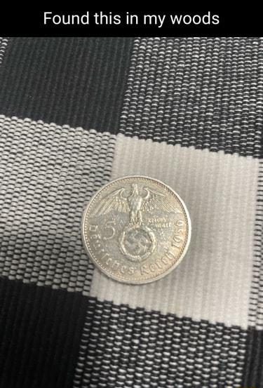 Found this in my woods