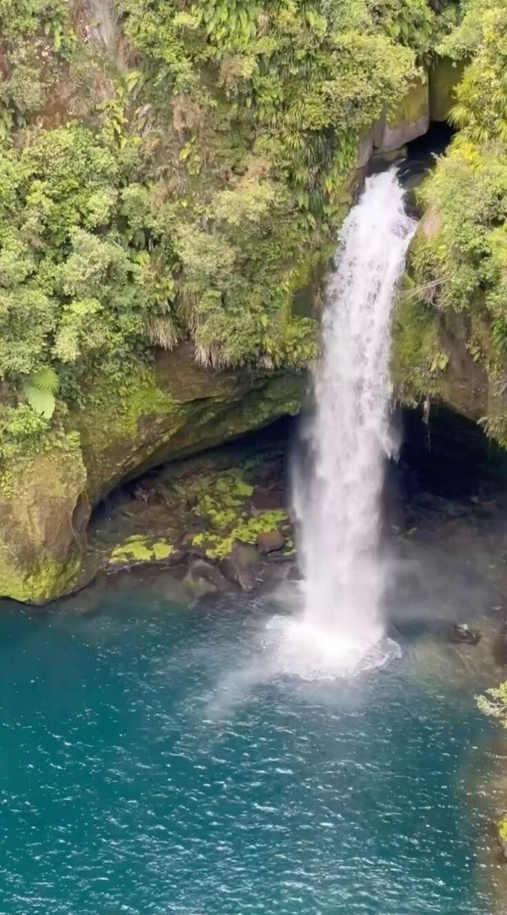 A waterfall cascading into a turquoise pool surrounded by lush greenery.