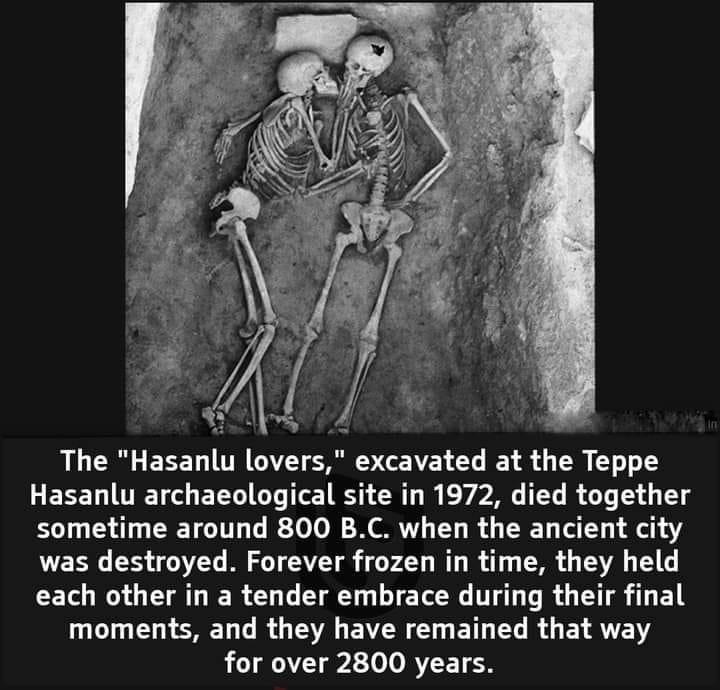 g 4 L EEE T TR CAVEY SV GEAVEY X T 4 Y 1 Hasanlu archaeological site in 1972 died together ST ST CRETCIT TR 0 Tl I T B o RET LT 4 was destroyed Forever frozen in time they held CEL NG T T IR G T U L E TR T T R G TR T EE T L ST T R G G BV G BTG R G ELRYE N for over 2800 years