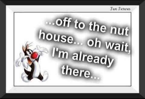 ...off to the nut house... oh wait, I'm already there... Fun Pictures