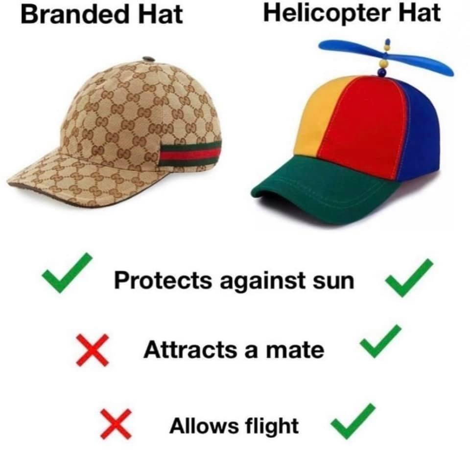 Branded Hat Helicopter Hat 8 J Protects against sun V Attracts a mate v Alowsflight