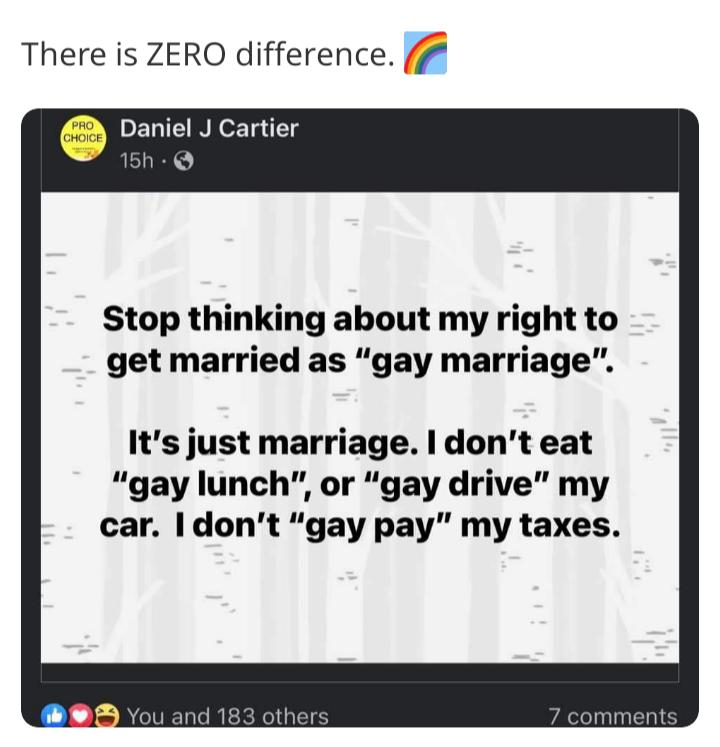 There is ZERO difference Daniel J Cartier 15h Stop thinking about my right to get married as gay marriage Its just marriage dont eat gay lunch or gay drive my car dont gay pay my taxes