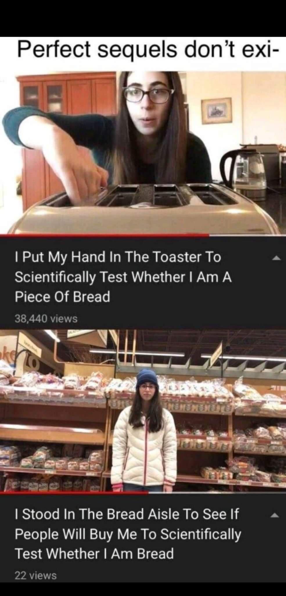 Perfect sequels dont exi Put My Hand In The Toaster To Scientifically Test Whether Am A Piece Of Bread i A RV Y Lo s A R L G G R S CR R CEA People Will Buy Me To Scientifically Test Whether Am Bread A TS