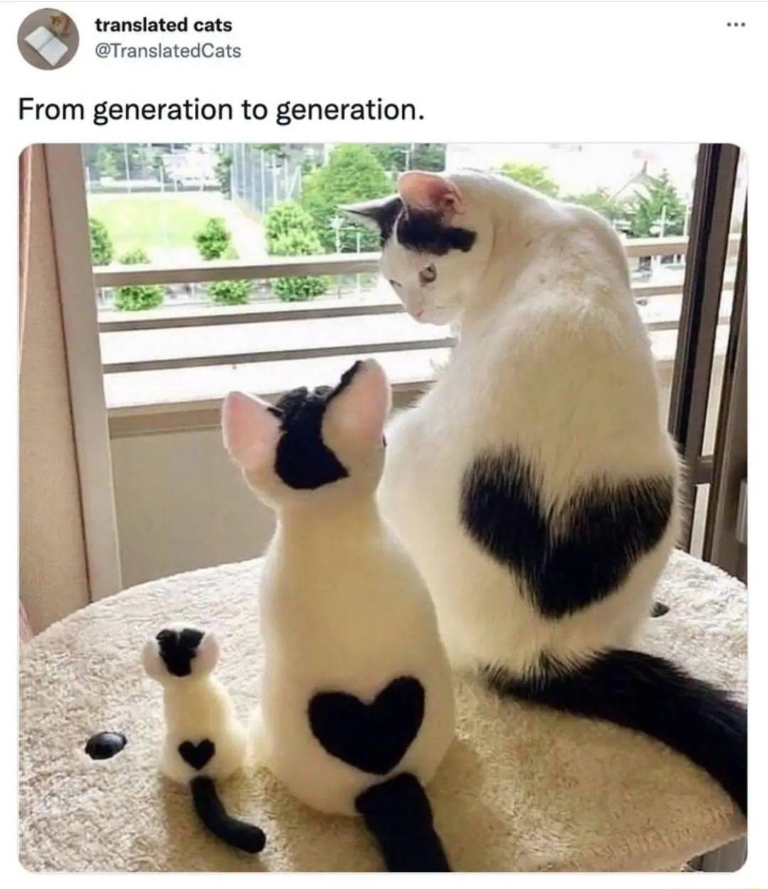 w ralated ost From generation to generation i e T