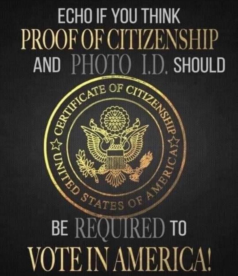 ECHO IF YOU THINK PROOF OF CITIZENSHIP AND PHOTO D SHOULD st REJUTRED 10 VOTE IN AMERICA