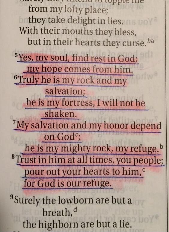 surely they intend to topple me from my lofty place; they take delight in lies. With their mouths they bless, but in their hearts they curse. Yes, my soul, find rest in God; my hope comes from him. Truly he is my rock and my salvation; he is my fortress, I will not be shaken. My salvation and my honor depend on God; he is my mighty rock, my refuge.