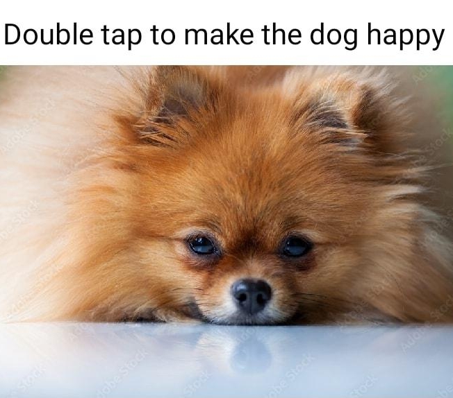 Double tap to make the dog happy r 4 Adobe Stock 121981496