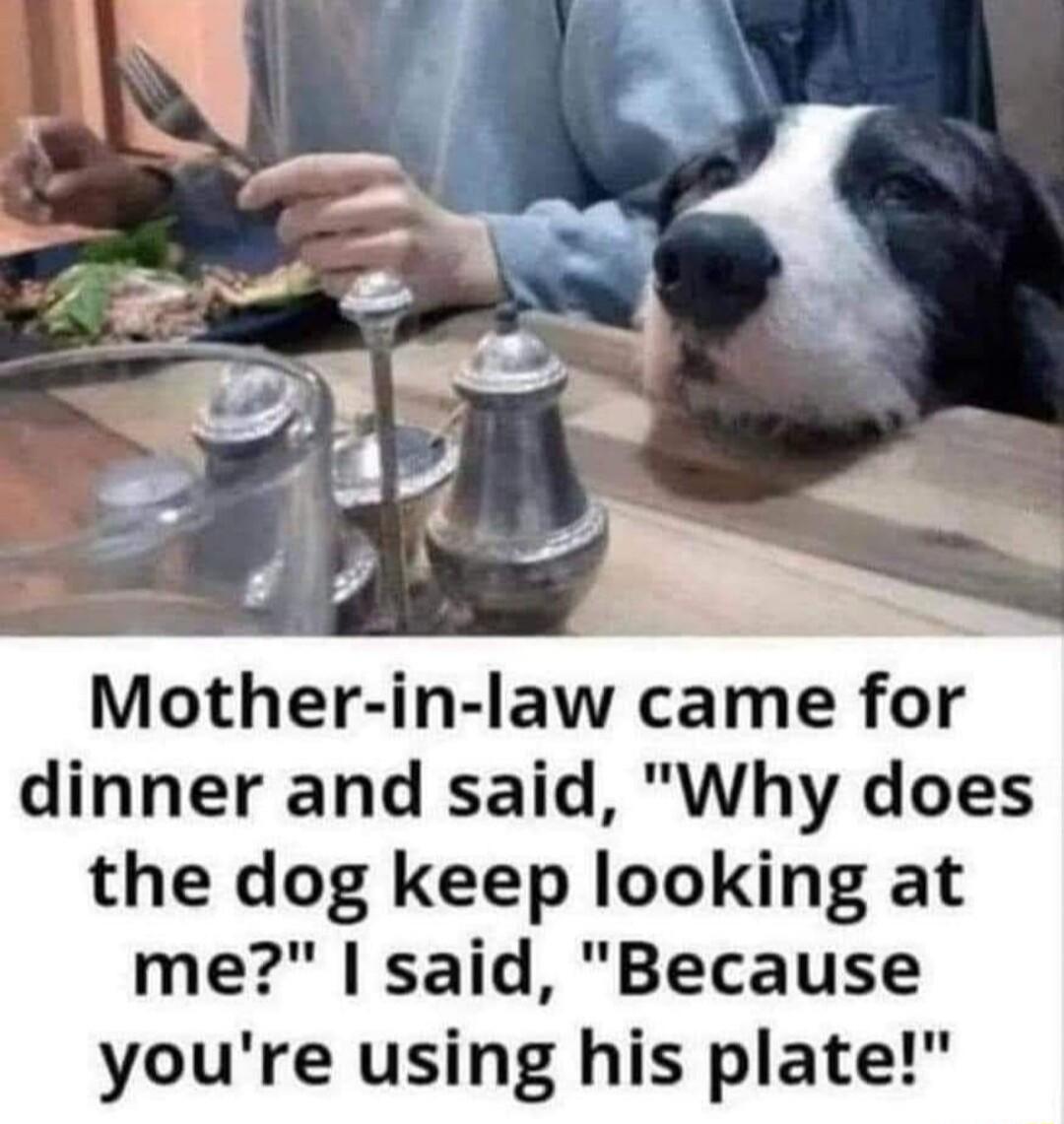 Mother in law came for dinner and said Why does the dog keep looking at me said Because youre using his plate