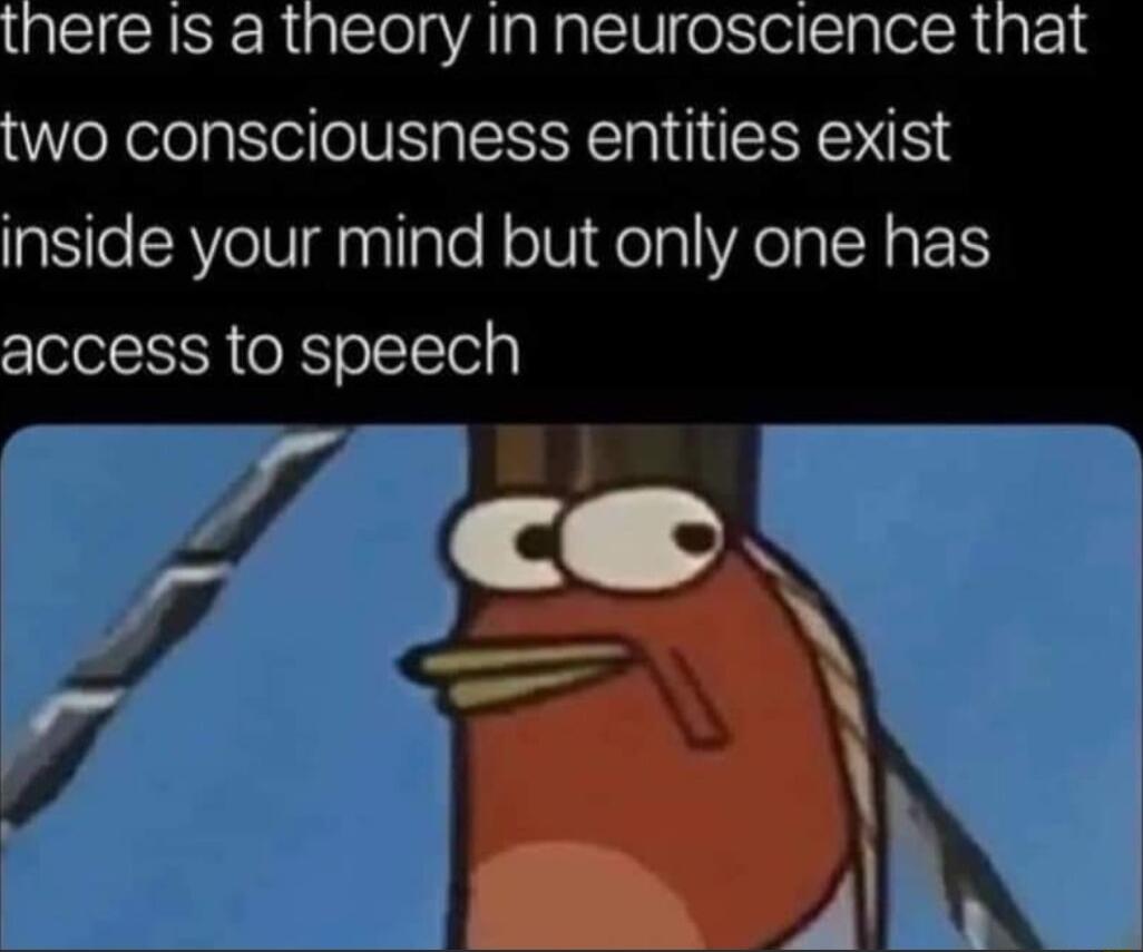 there Is a theory In neuroscience that two consciousness entities exist inside your mind but only one has access to speech