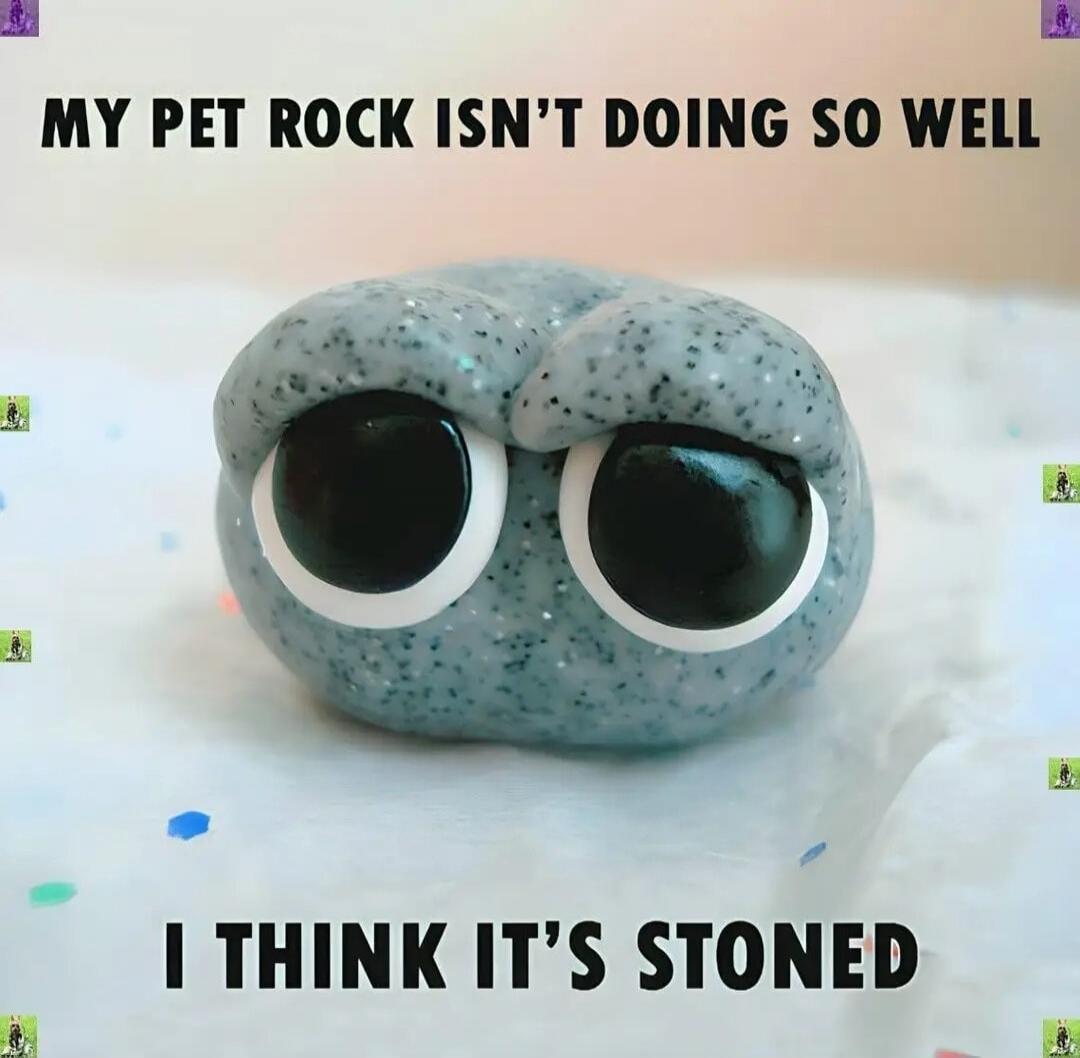 MY PET ROCK ISN'T DOING SO WELL I THINK IT'S STONED