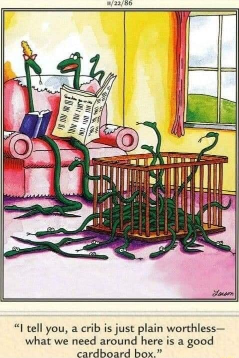 W2286 I tell you a crib is just plain worthless what we need around here is a good cardboard box