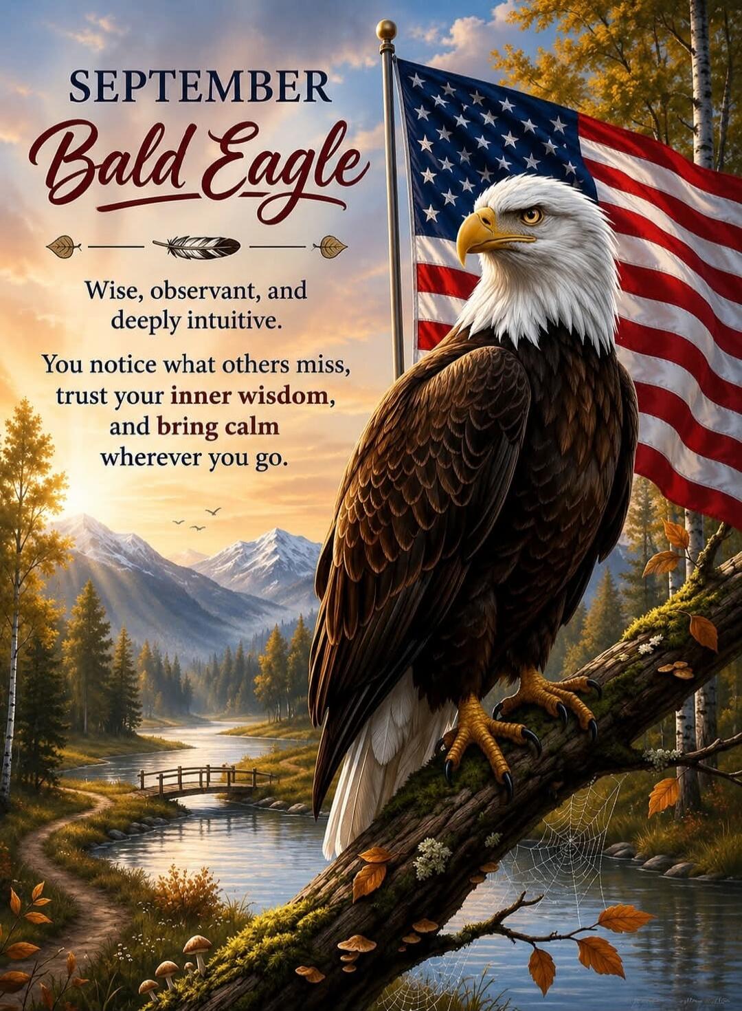 SEPTEMBER Bald Eagle Wise, observant, and deeply intuitive. You notice what others miss, trust your inner wisdom, and bring calm wherever you go.
