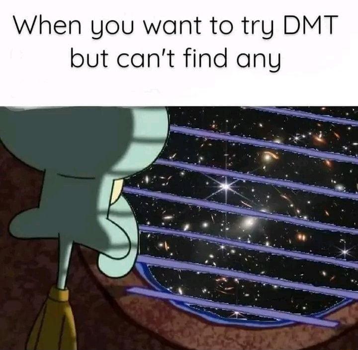 When you want to try DMT but cant find any