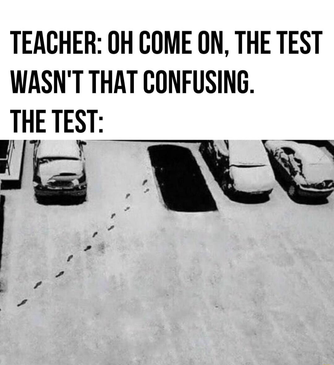 TEACHER: OH COME ON, THE TEST WASN'T THAT CONFUSING. THE TEST: