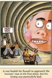 It was foolish for Russell to approach the homets nest in the first place but his timing was particularly bad