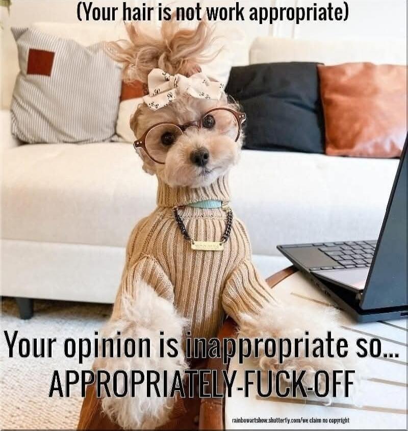 (Your hair is not work appropriate) Your opinion is inappropriate so... APPROPRIATELY-FUCK-OFF