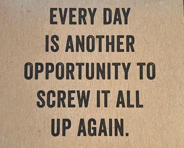 EVERY DAY IS ANOTHER OPPORTUNITY TO SCREW IT ALL UP AGAIN.